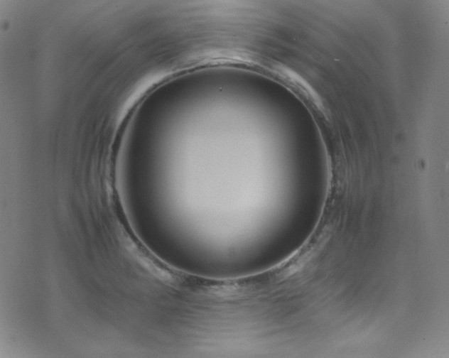 X0000077291182200610201126