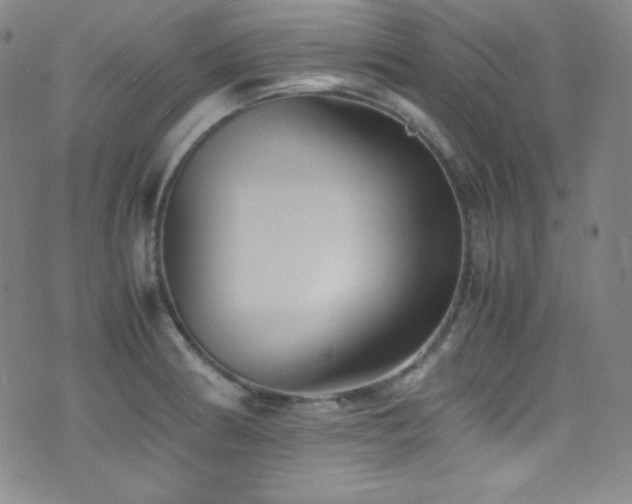 X0000077291186200610201126