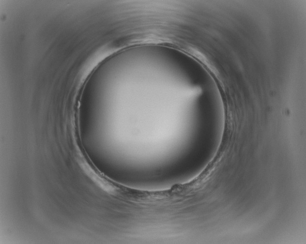 X0000077291187200610201126
