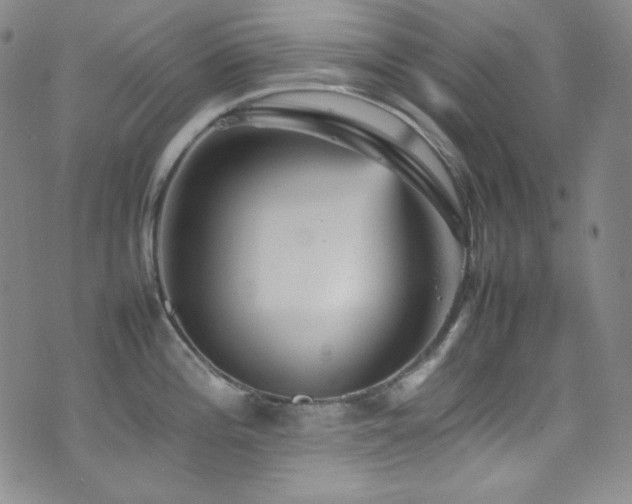 X0000077291196200610201126