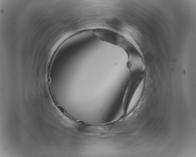 X0000077291197200610201126