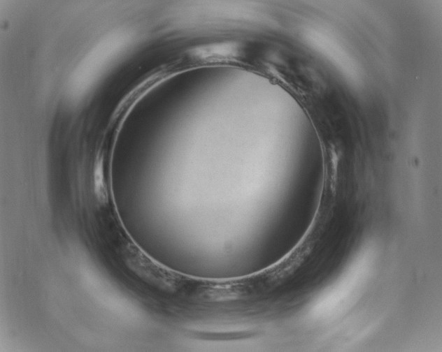 X0000077291198200610201126