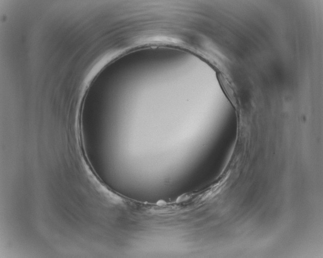 X0000077291199200610201126