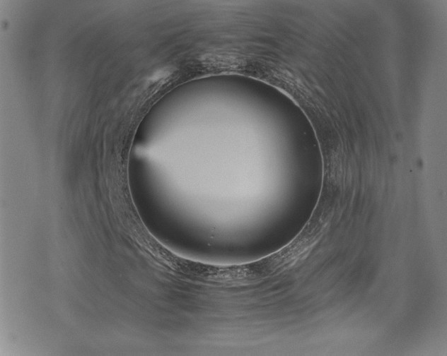 X0000077291201200610201125