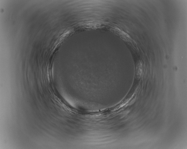 X0000077291202200610201125