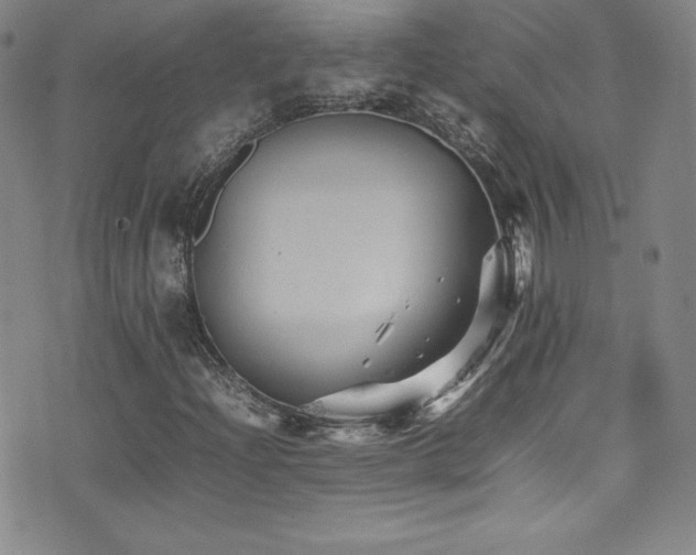 X0000077291204200610201125