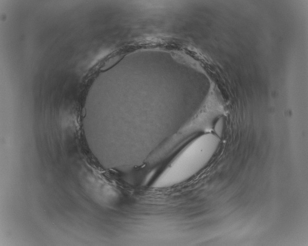 X0000077291206200610201125