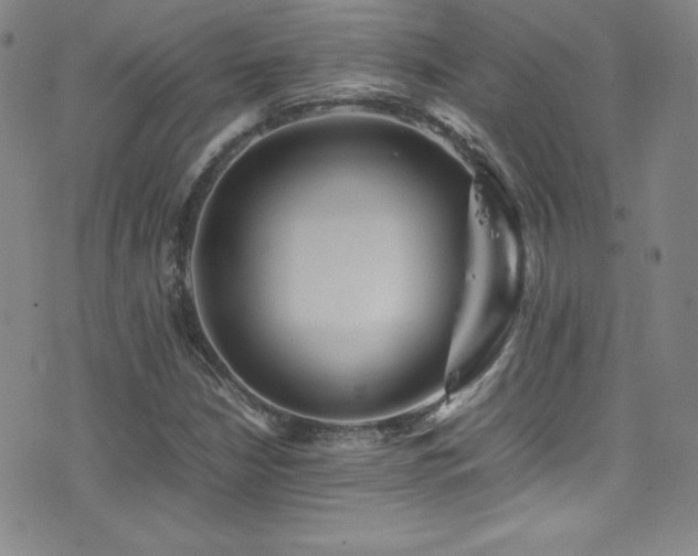 X0000077291210200610201125