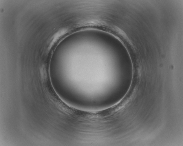 X0000077291218200610201125
