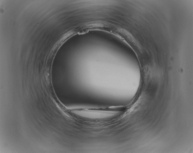 X0000077291225200610201125