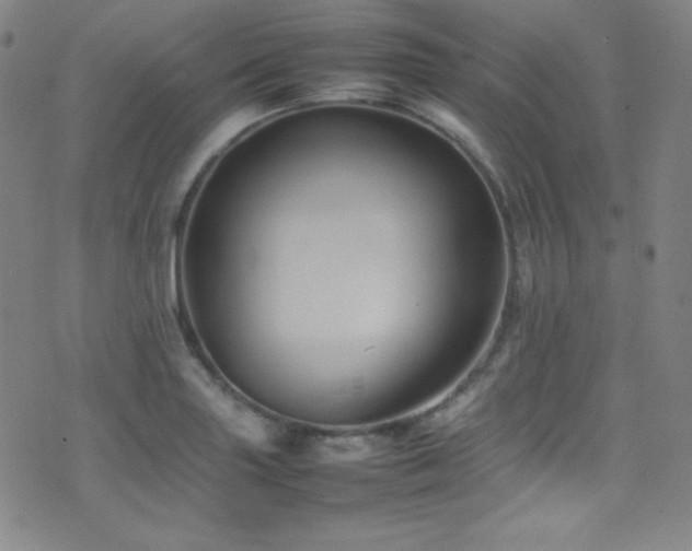 X0000077291227200610201125