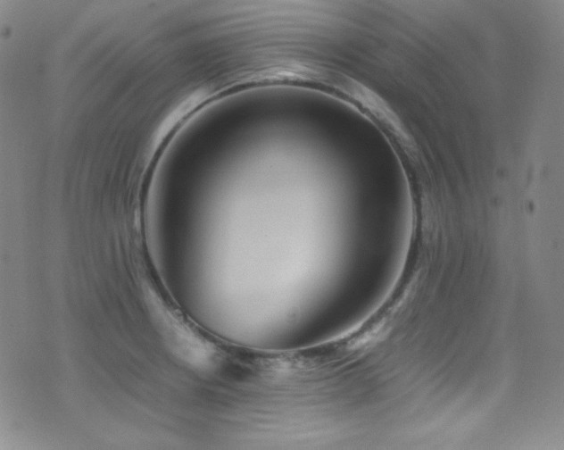 X0000077291234200610201126