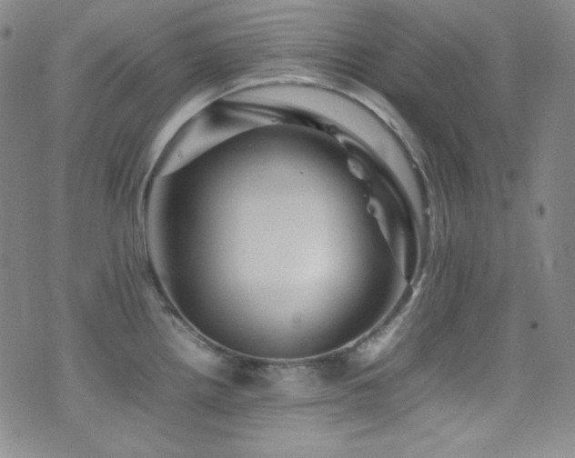 X0000077291242200610201126