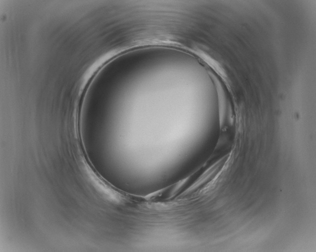 X0000077291246200610201126