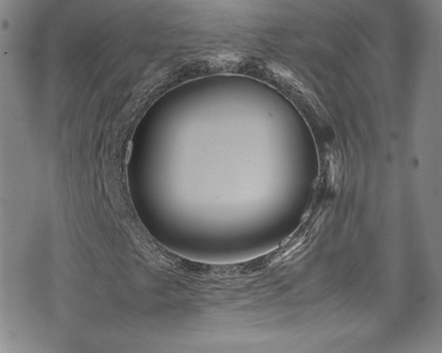 X0000077291249200610201125