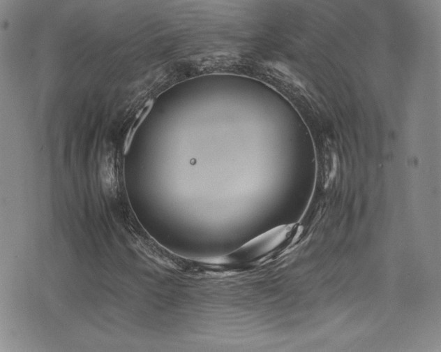 X0000077291250200610201125