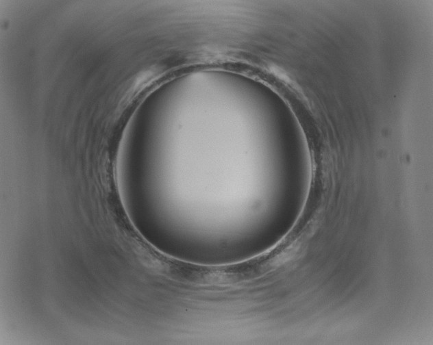 X0000077291265200610201125
