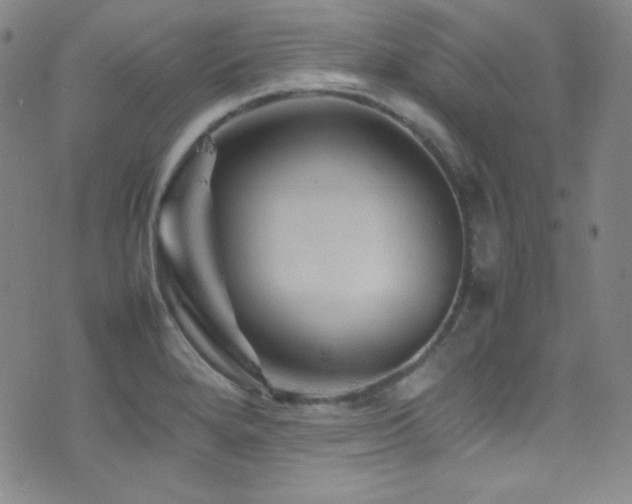 X0000077291280200610201124