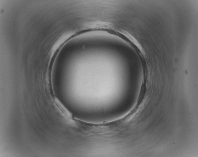 X0000077291285200610201124