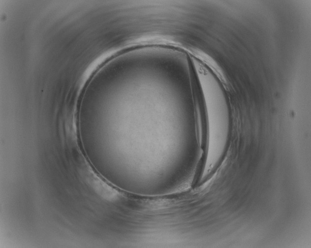 X0000077291288200610201124