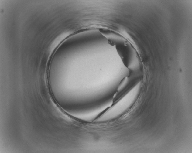 X0000077291293200610201124
