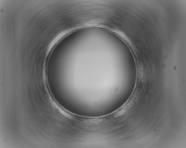 X0000077291294200610201124