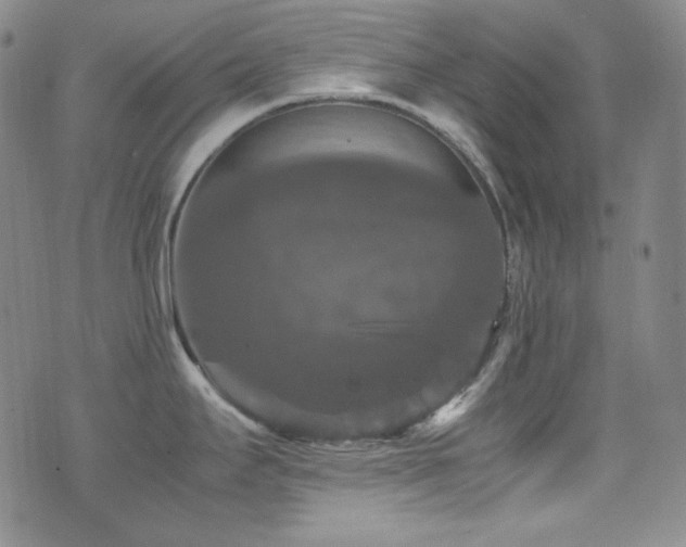 X0000077291295200610201124