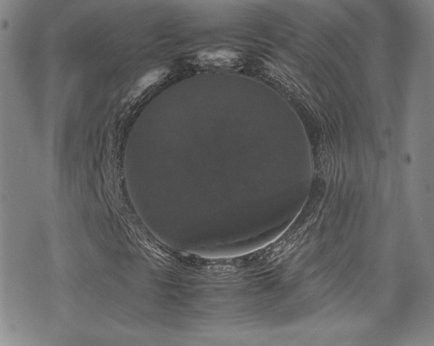 X0000077291297200610201123