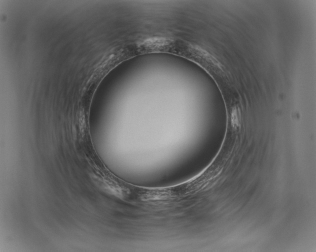 X0000077291299200610201123