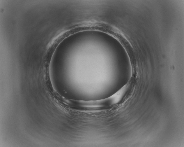 X0000077291304200610201124