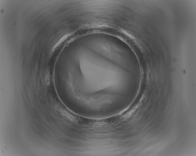 X0000077291306200610201124