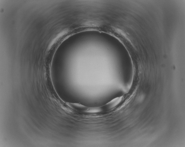 X0000077291307200610201124