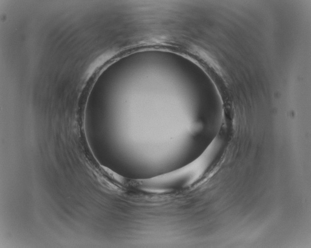 X0000077291308200610201124