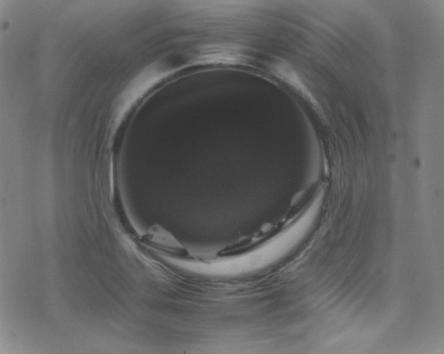 X0000077291323200610201124