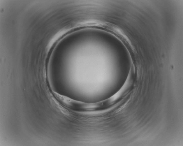 X0000077291328200610201124