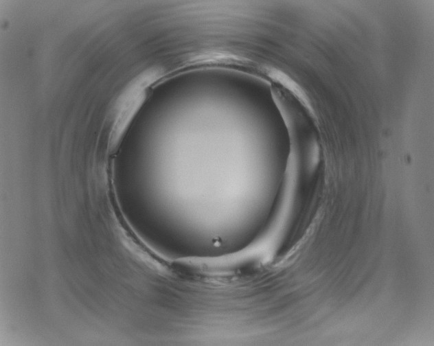 X0000077291330200610201124