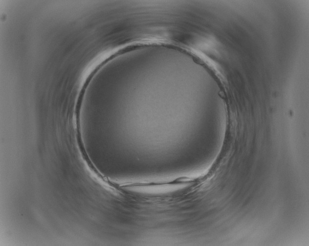 X0000077291335200610201124