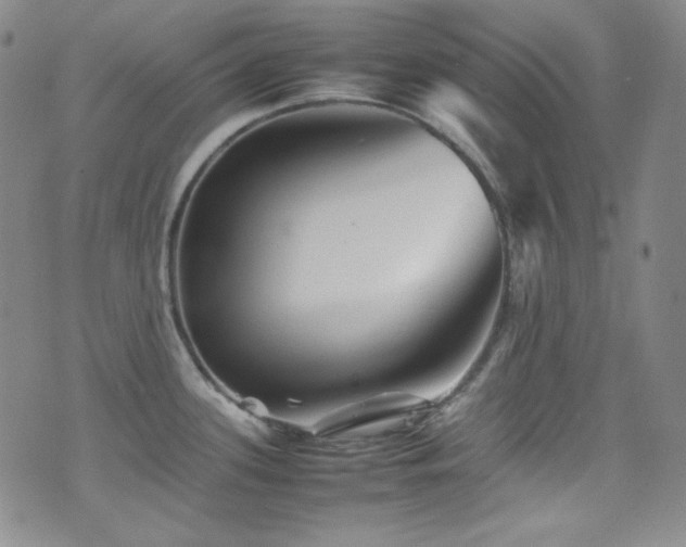 X0000077291339200610201124