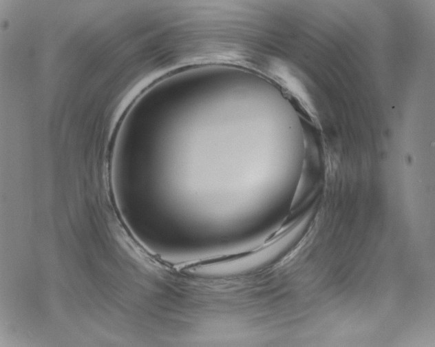 X0000077291340200610201124