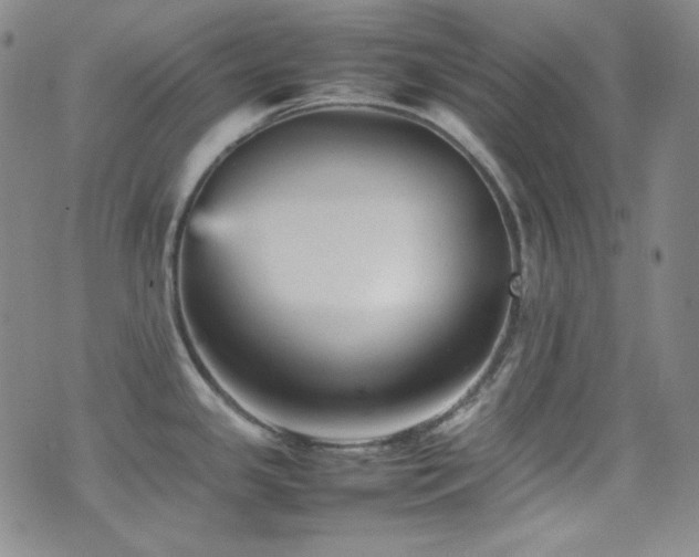 X0000077291341200610201124