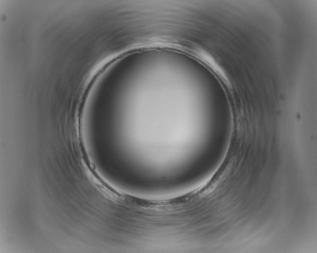 X0000077291388200610201123
