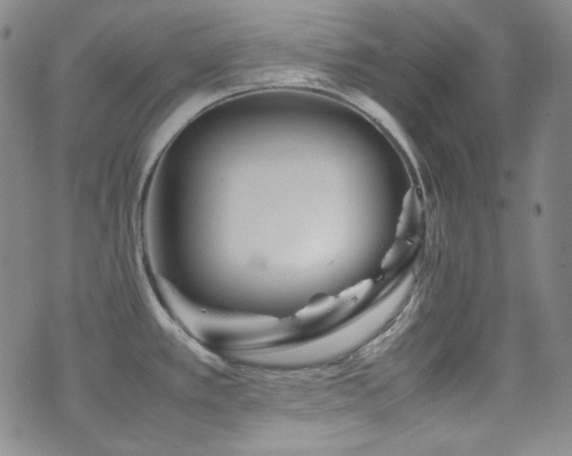 X0000077291389200610201123