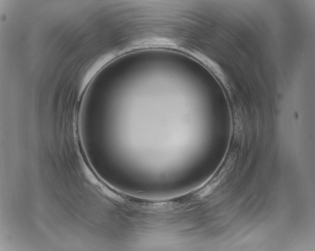 X0000077291390200610201123