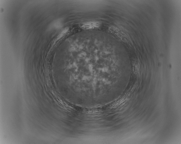 X0000077291393200610201122