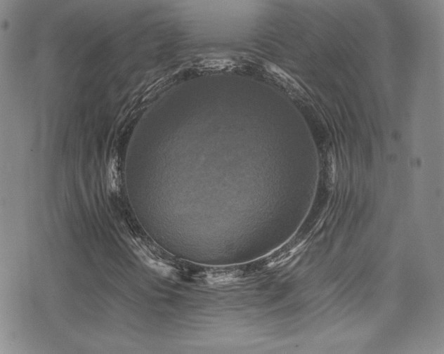 X0000077291394200610201122