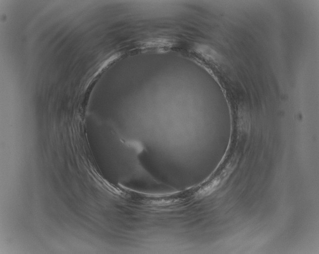 X0000077291401200610201122