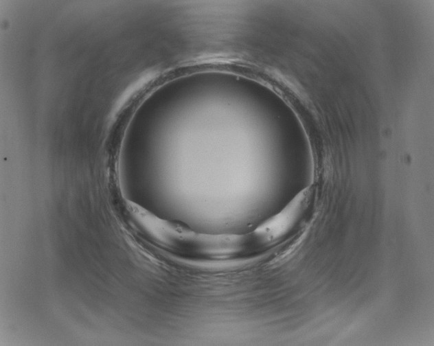 X0000077291406200610201122