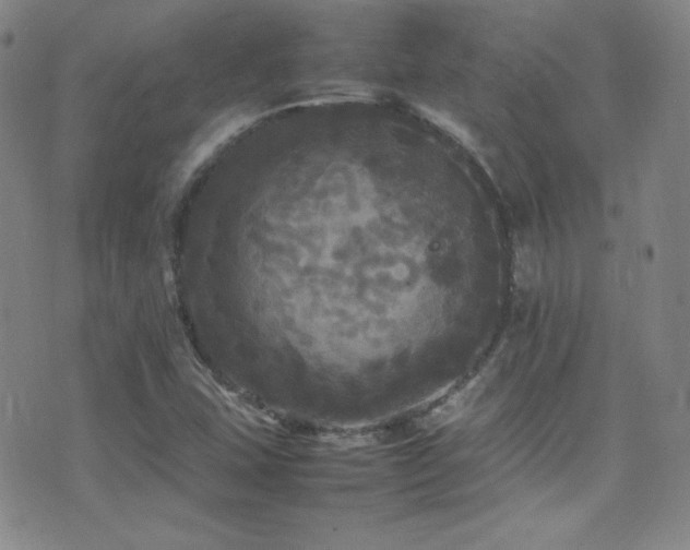 X0000077291407200610201122