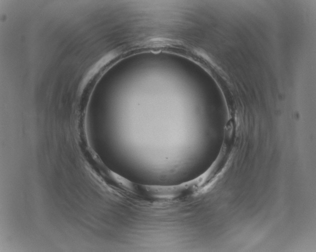 X0000077291410200610201122