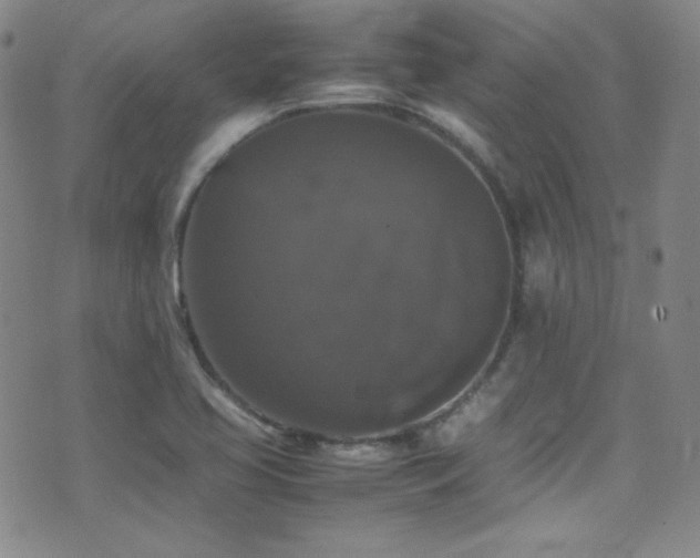 X0000077291413200610201122